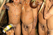 Huaorani Männer mit Maniokgetränk in Ecuador