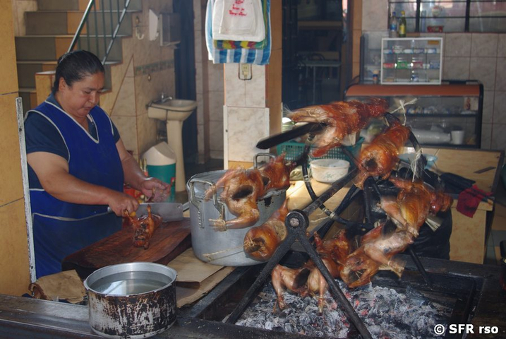 Meerschweinchen Vorbereitung in Ecuador