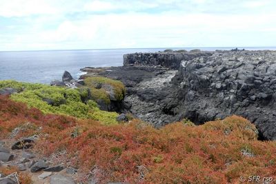 Landschaft auf Española, Galapagos