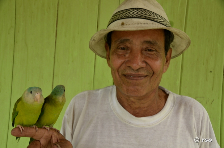 Manabita mit Papageien, Ecuador