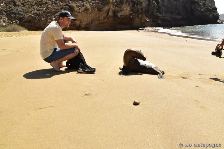 Seelöwen Begegnung in Punta Pitt, Galapagos