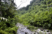 Hola Vida Fluss, Ecuador