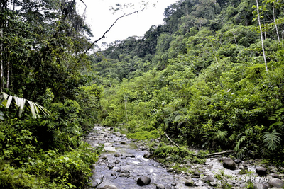 Hola Vida Fluss, Ecuador