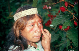 Huaorani-Frau bemalt sich