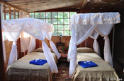 Tapir Lodge Bungalow Zimmer