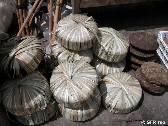 Zuckerrohr in Form, Ecuador