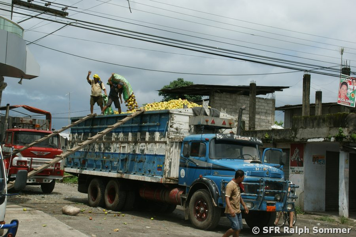LKW mit Maracuyas beladen, Ecuador