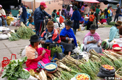 Pujili Gemüße Verkauf in Ecuador