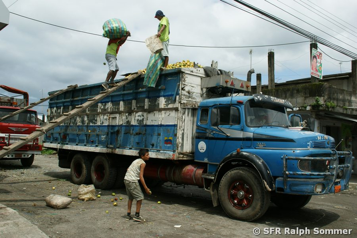 Maracuya Früchte auf Lastwagen, Ecuador