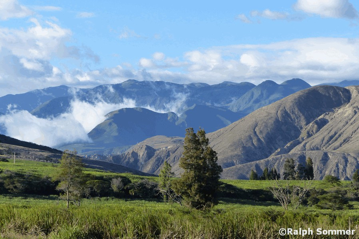 Zuckerrohranbau Nord West Kordillere Anden in Ecuador