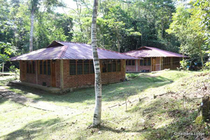 Yachana Lodge Bungalow