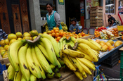 Bananen Früchte in Ecuador