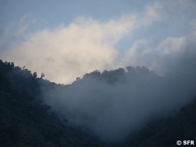 Bergnebelwald Guango Lodge
