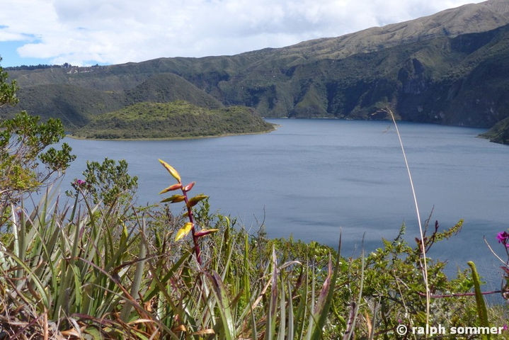 Cuicocha Lagune mit Tillandsia Lajensis, Ecuador