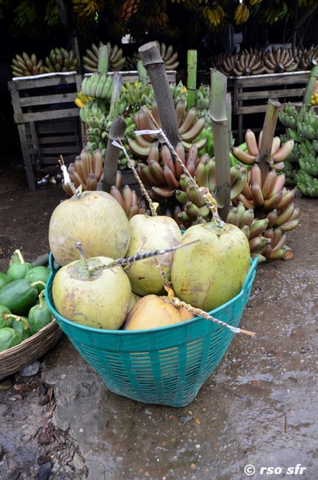 Kokosnüsse in Korb, Ecuador