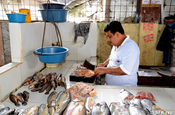 Fischtheke La Concordia in Ecuador