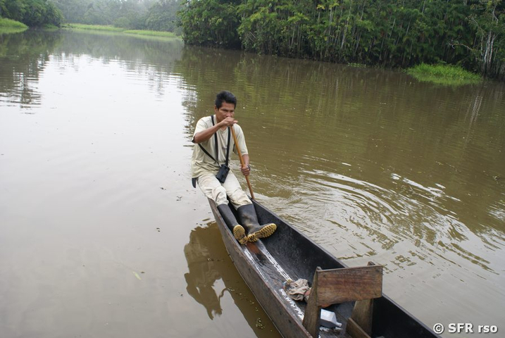 Indigena paddelt in einem Holz Kanu im Nationalpark Yasuni in Ecuador