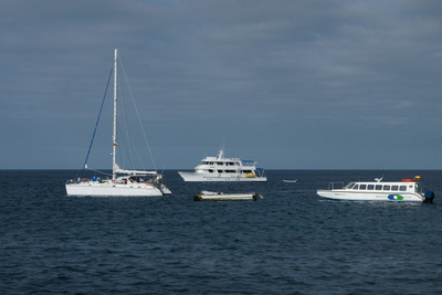 Kreuzfahrten Galapagos