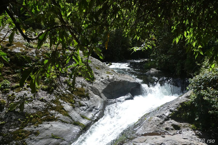 Flussschnell am Río Pita, Ecuador