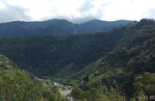 Fusssohle Sumaco des Nationalparks Sumaco in Ecuador