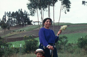 Indiofrau beim Spinnen mit Kind, Ecuador