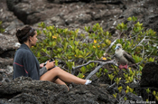 Vis a vis mit Rotfußtölpel, Galapagos