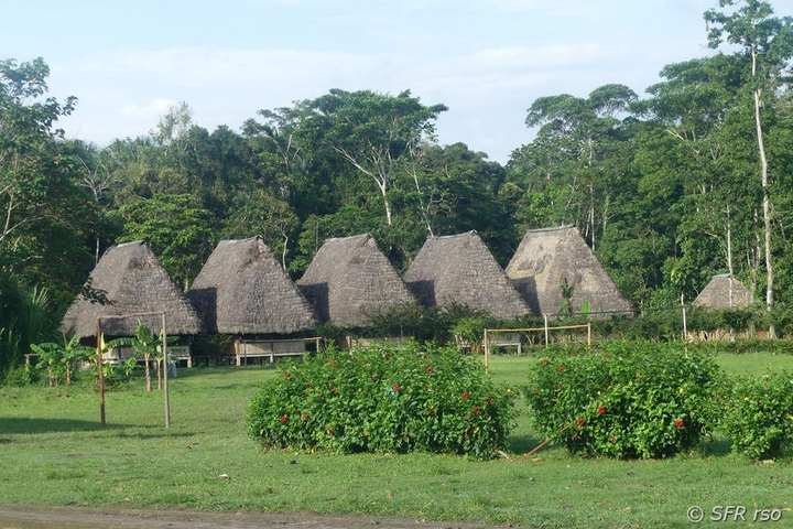 Kichwa Schulgebaeude im Nationalpark Yasuni in Ecuador
