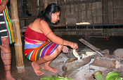 Tsachila Indigene Knochen in Santo Domingo, Ecuador