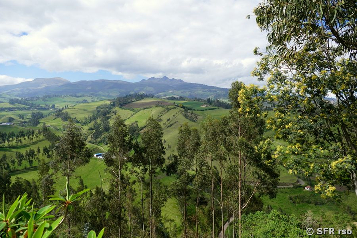 Weideland mit Blick auf Ruminahui Anden in Ecuador