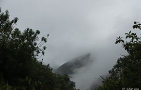 Bergnebelwald Yanacocha