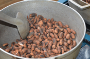 Individualreise Ecuador Kakaomandeln geröstet