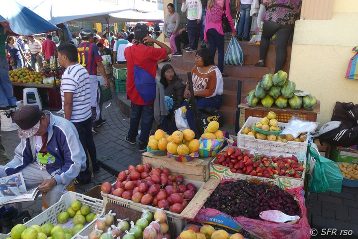 Früchte Markt in Zumbahua, Ecuador