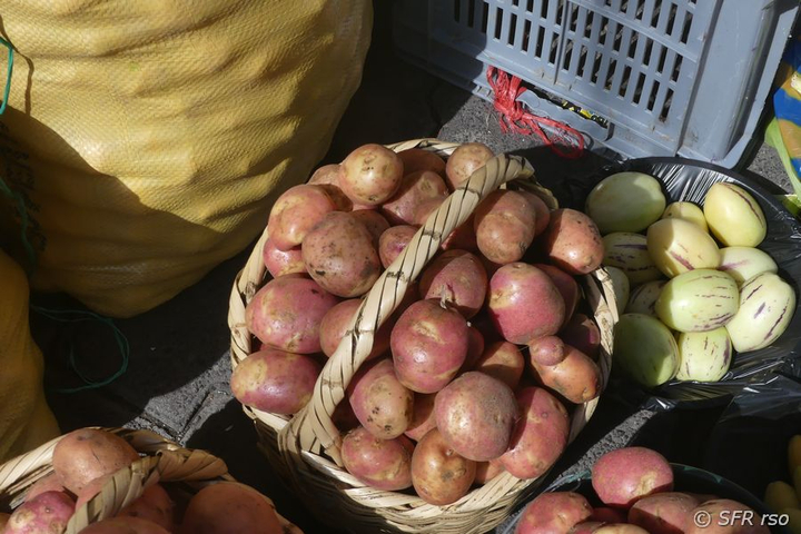 Kartoffel Markt Sangolqui in Ecuador