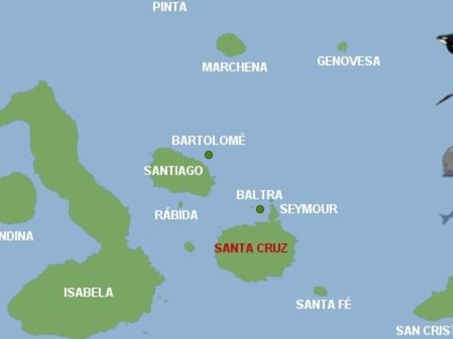 Insel Santa Cruz