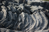 Stricklava Formation auf Fernandina, Galapagos