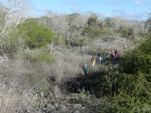 Wanderung zum Turtle Bay, Galapagos