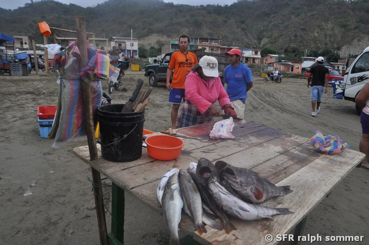 Fisch säubern in Ecuador