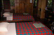 Twin Zimmer Sacha Lodge Ecuador
