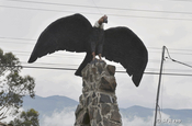 Kondor Monument in Ecuador