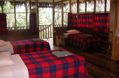 3 Bett Zimmer Sacha Lodge Ecuador