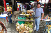 Kokosverkäufer La Concordia, Ecuador