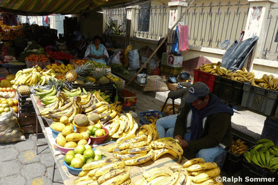 Bananen auf Montagsmarkt in El Angel in Ecuador