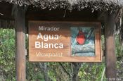 Aussichtspunkt Agua Blanca im Nationalpark Machalilla in Ecuador