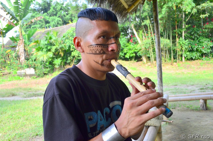 Flötenspieler in Ecuador
