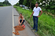 Kakaobohnen am Straßenrand in Ecuador