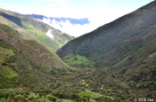 Andental mit niedriger Vegetation in Ecuador