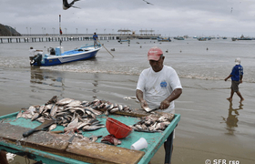 Fischmarkt Puerto López
