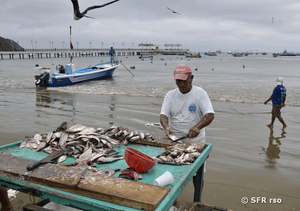 Fischmarkt Puerto López