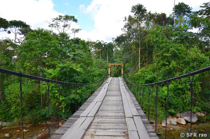 Holzbrücke am Rio Silanche in Ecuador 