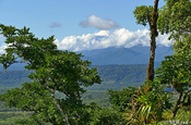 Ostkordillere Reservat in Guandera, Ecuador